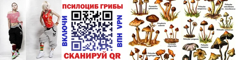 Псилоцибиновые грибы Cubensis  Купить где  Новоалтайск 